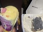 Nasty things found in ice creams which are sure to gross you out