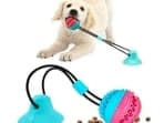 Best dog toys to keep your pets entertained 