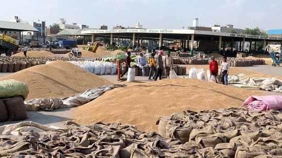 Labourers filling wheat grains in gunny bags at the Bathinda grain market on Sunday (Sanjeev Kumar/HT)