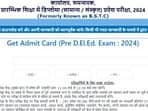 BSTC Rajasthan Pre DElEd admit card 2024 released (predeledraj2024.in, screenshot)