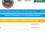 AP Inter Supply Results 2024 Live: BIEAP 1st year IPE results shortly (resultsbie.ap.gov.in, screenshot)