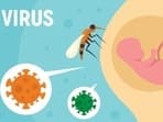 Zika virus alert for pregnant women: New measures and updated guidelines for expectant mothers 