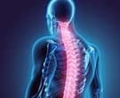 Back pain is recognised by WHO as the most common cause of disability globally. 